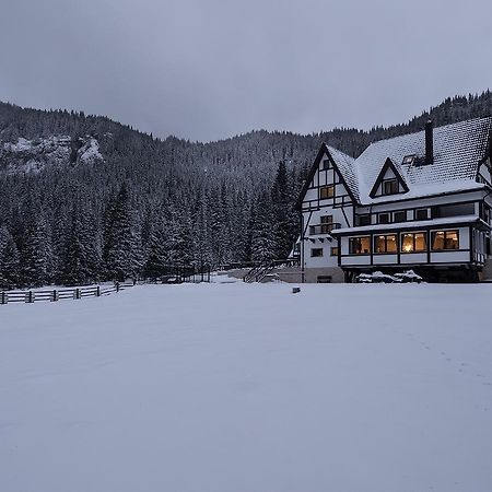 Chalet Alpina Moroeni Exterior foto